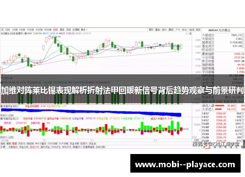 加维对阵莱比锡表现解析折射法甲回暖新信号背后趋势观察与前景研判